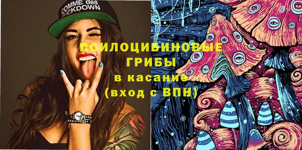 спиды Медногорск