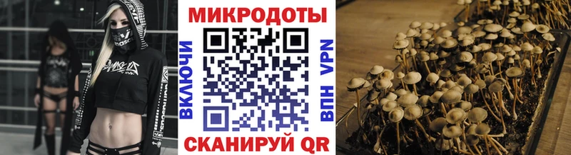 hydra ссылка  Жирновск  дарк нет телеграм  Псилоцибиновые грибы ЛСД 